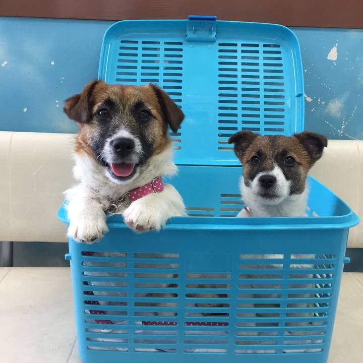 5bed5062 55ed 4611 a026 19f177d25d9d 1619092654044