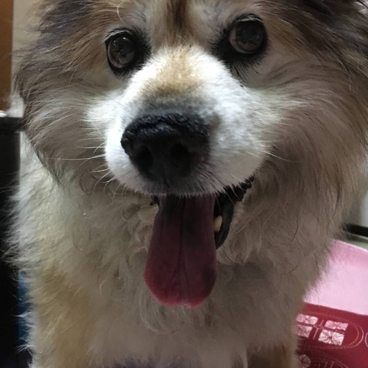 5bed629e ac12 4312 bbd3 28345cd0505c 1600132189540