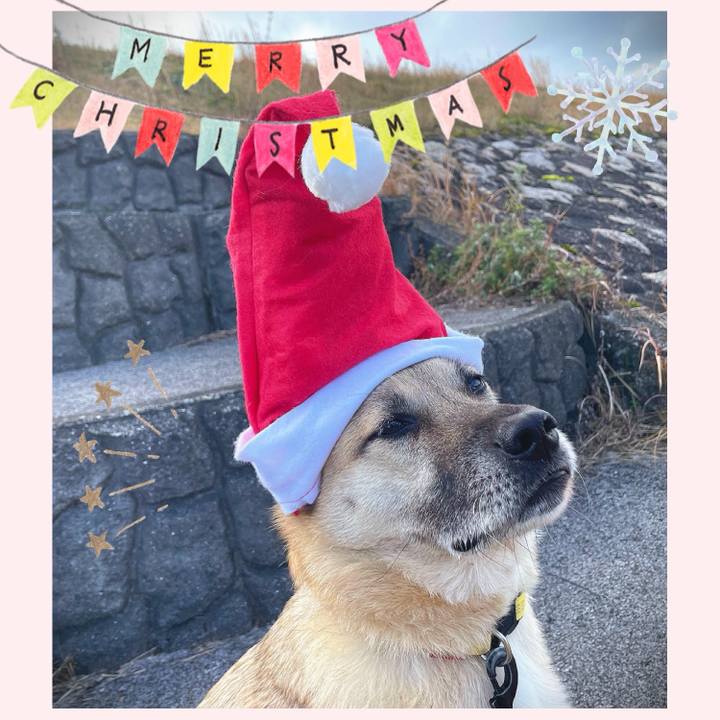 5bed89af fad2 4404 ab68 d47bd73e9c1c 1703394533586