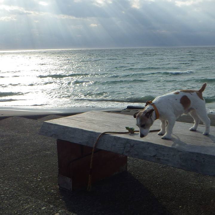 5beda3af 22b0 48ce 86bf aef1a64384db 1579347708162