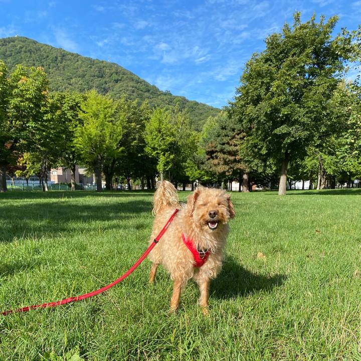 5bedab8c cfda 4799 b2bb a2e0ad384874 1661398312730