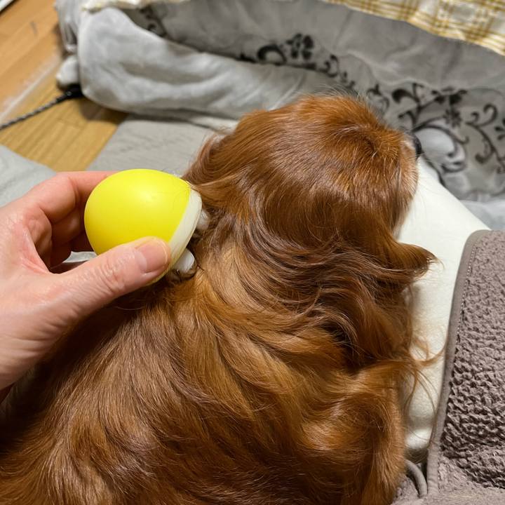 5bedb8ad 8ff9 4add a0fa 3dc88d45d70c 1732573441474