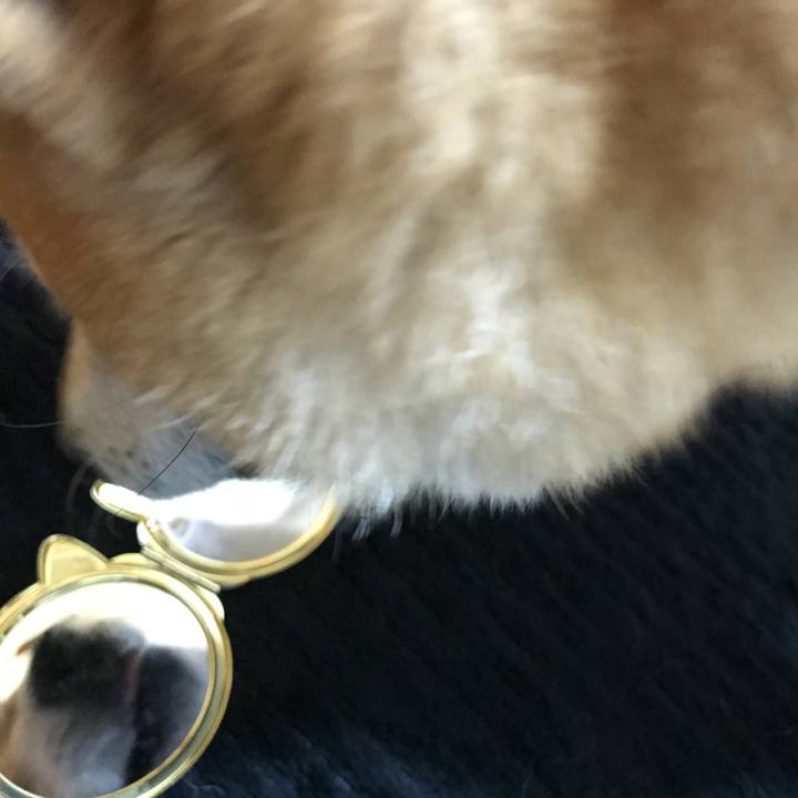 5bede5e9 54c4 40a1 85dc ee025b52a27e 1510195335592