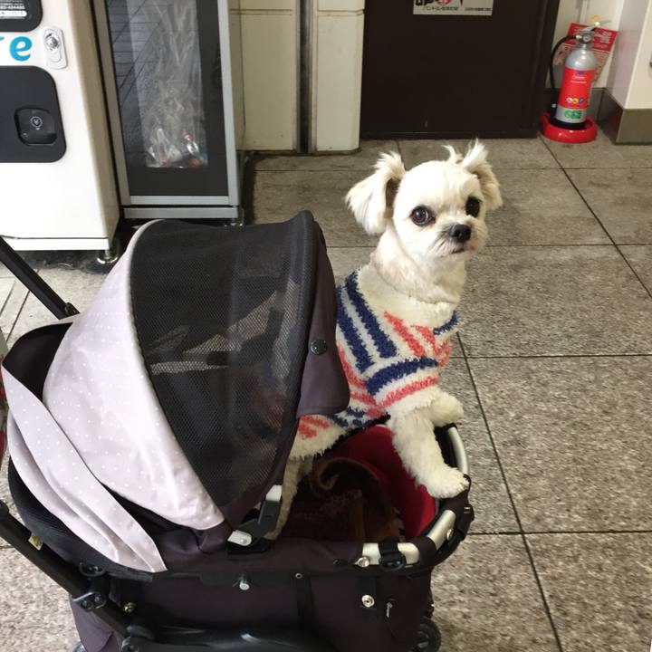 5bee04b0 5e5c 4fd3 8098 f5dfd52725be 1517542249149