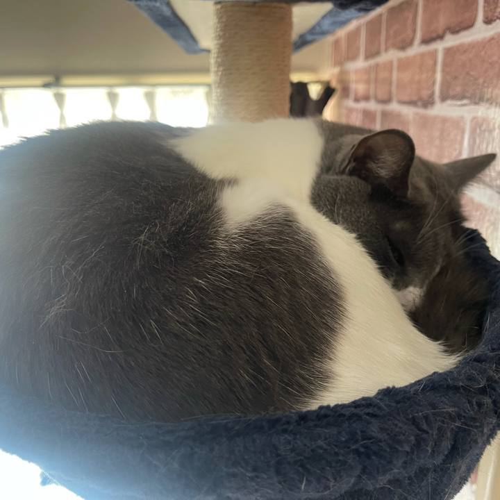 5bee4452 7d07 4b5a aa58 3ec80d693588 1627016021406