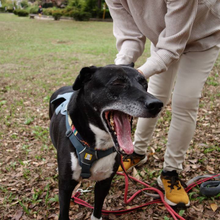 5bee45c6 59e0 467f a2a7 62c72147815e 1730163492236