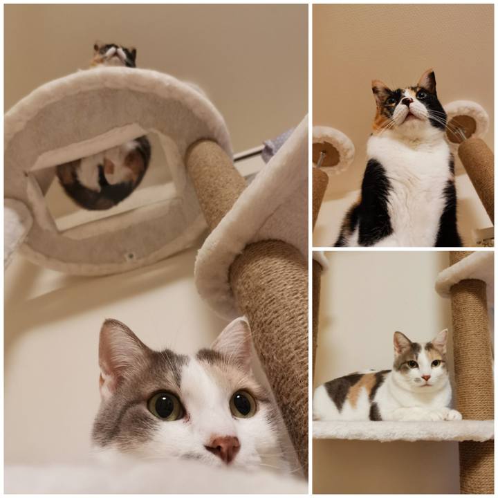 5bee6093 0acc 475c b79b bcb6f17e8008 1669952029794