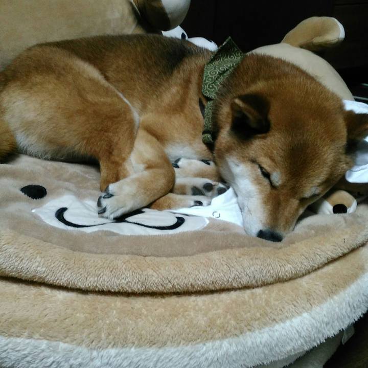 5bee6ad5 dc21 4ce1 b07e cb1655f9eeb4 1524394762645