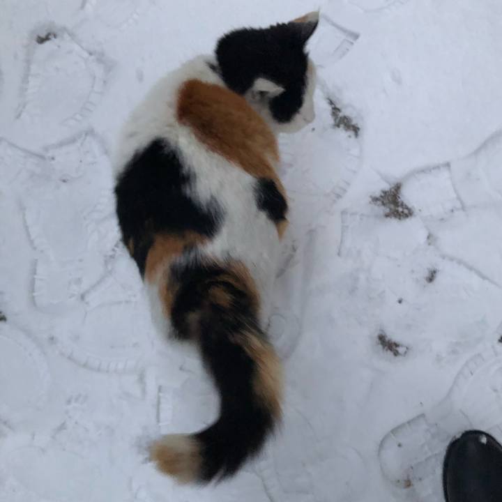 5bee8221 ddee 4999 b390 9d0acef5fdf5 1610183218833