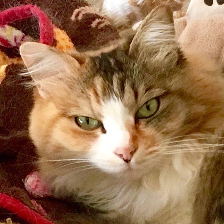 5bee92b9 6258 4e27 bd3c f51e64939ad9 1560567195093