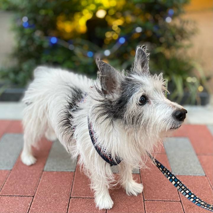 5bee9936 b357 49df b69d 42d5c6f242d1 1636787195964