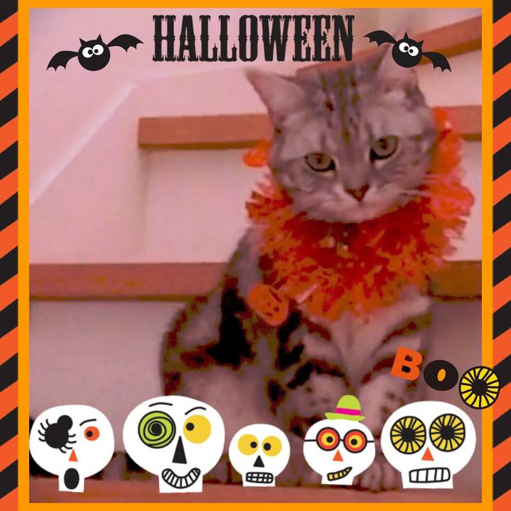 5bef5cd8 d93c 44cf af3d b665e7dbb75c 1509176926248