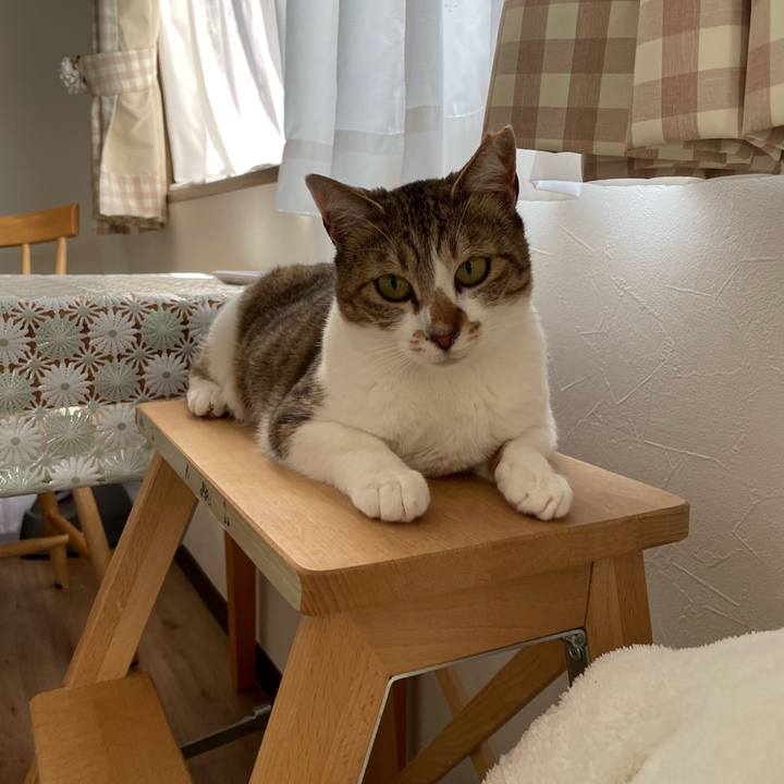 5bef6c1b 7167 490a 8ef1 764105a9d7fe 1650863603885