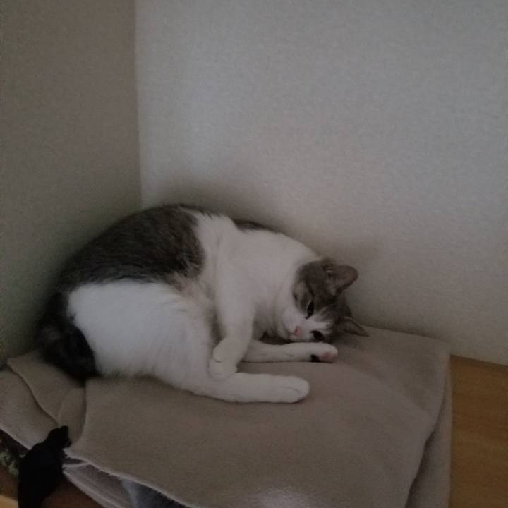 5bef849d c52d 4539 b1a9 244a0335ff5e 1585989026988