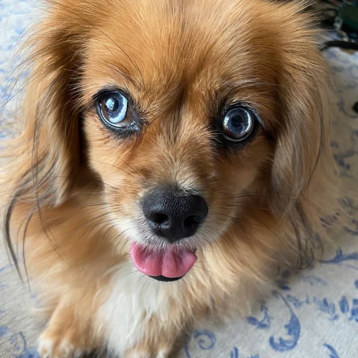 5bef9236 f05c 4479 89af e471b8c1b65d 1663219268703