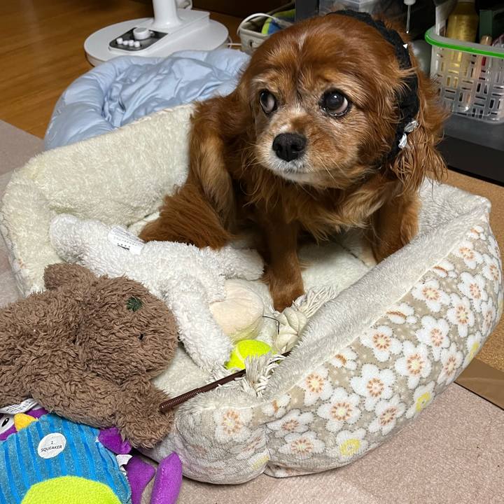 5befb0b0 70df 41e0 bafd 0f0fed54f6b7 1727520927851