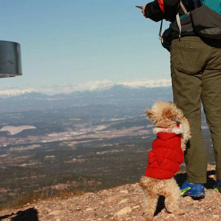 5befb676 2a45 4277 8f29 44c766664a33 1549404106653