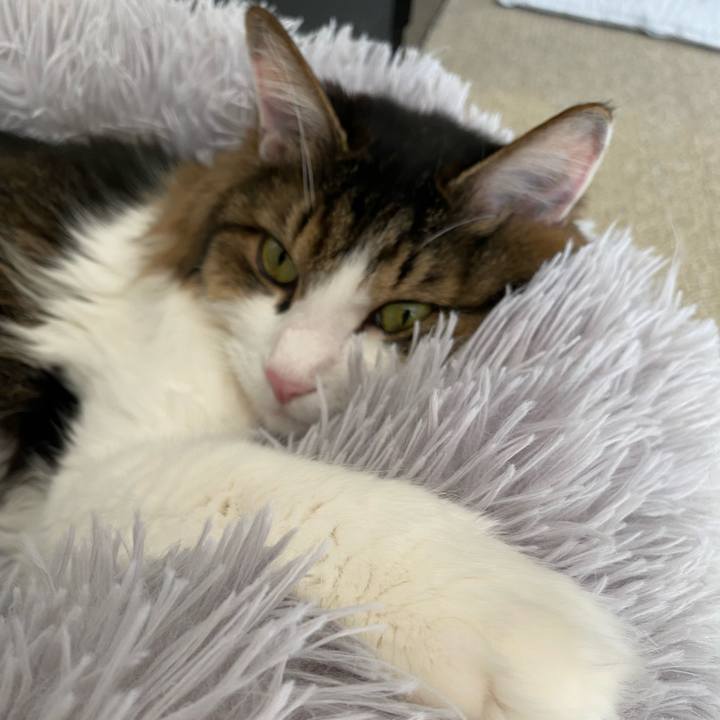 5bf0025e 6b7d 4940 b24e a9b7107ed65b 1666305585693