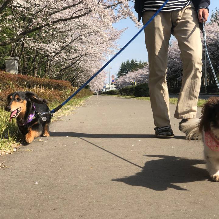 5bf03f91 d95a 4d16 bd4c f03fcf16e8fa 1554632304194