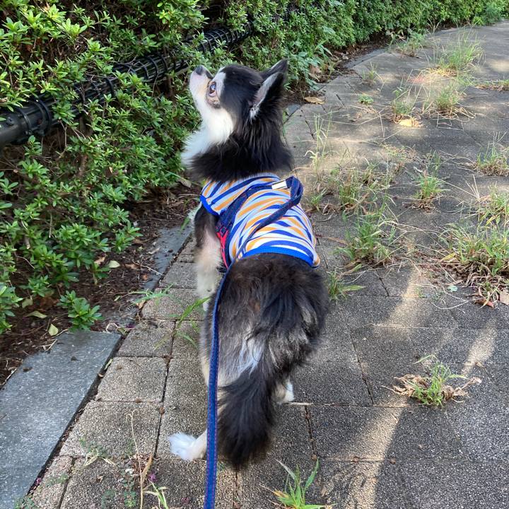 5bf053b8 7398 48c2 9424 cb5b902207a4 1696085181998