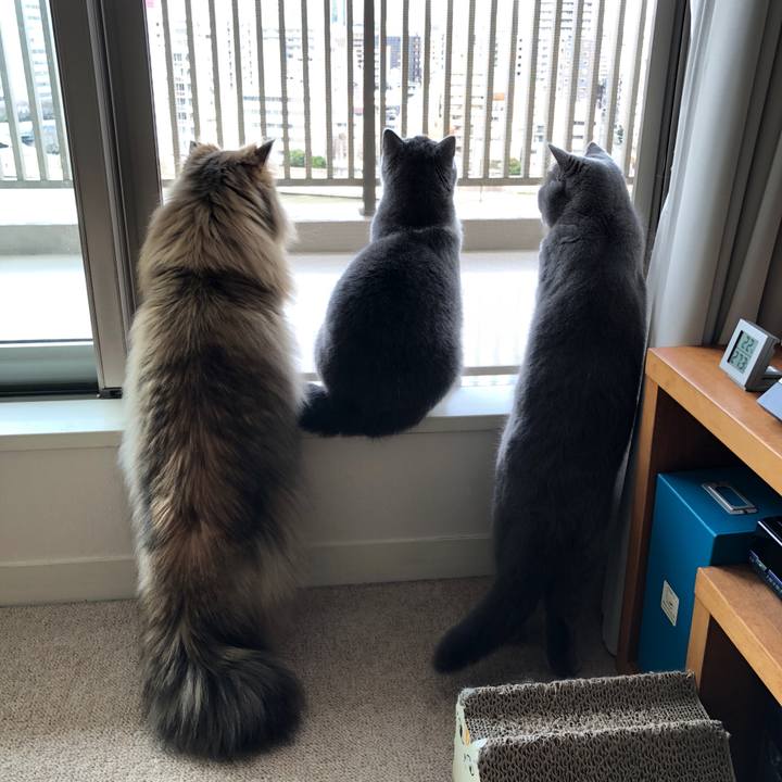 5bf0674f b959 4ad5 9240 9abbb697fc7b 1520647079138