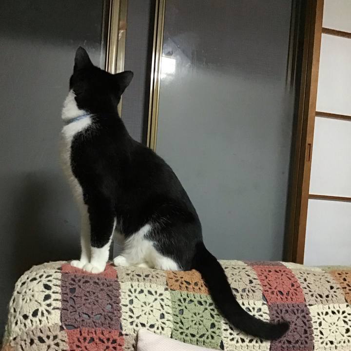 5bf0970e 7fed 4214 835f b2893edf60fa 1727431312742