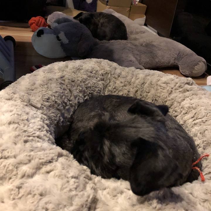 5bf09742 2702 4fb4 b063 5c66df4211ab 1543141073007