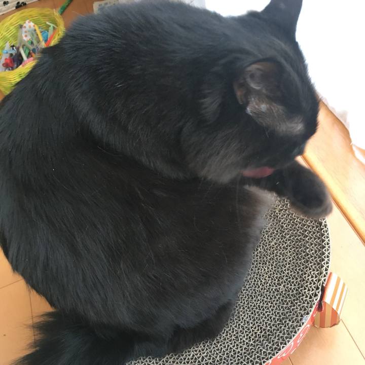 5bf0bdd8 e7c7 476c b92b bb548ca979b5 1526013485163