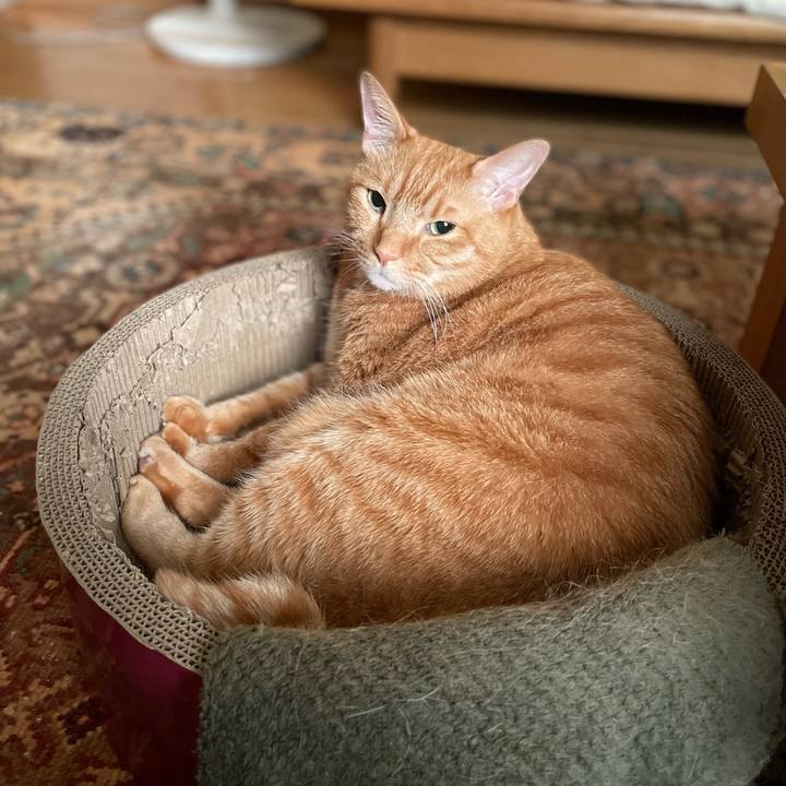 5bf0e664 e3d0 4985 bac4 9e3930ef404b 1661259387406