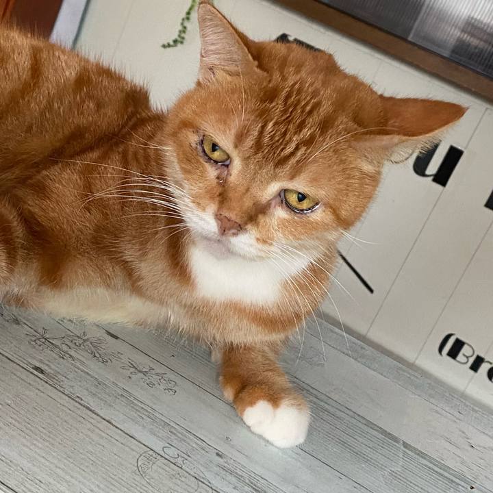 5bf1299f f1ad 45a0 8e21 0db036bf68f0 1630900375822