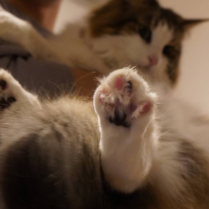 5bf16a64 81d8 4ac6 a7a0 7d0324a97cca 1609252300456