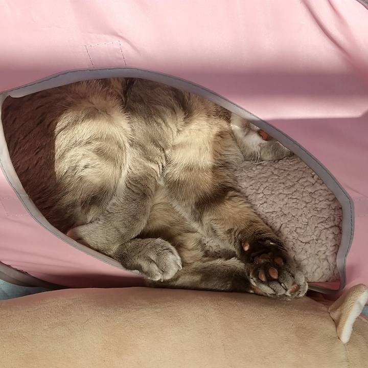 5bf17636 e1cd 49ed 8d5a 8b937263fa87 1615773770728