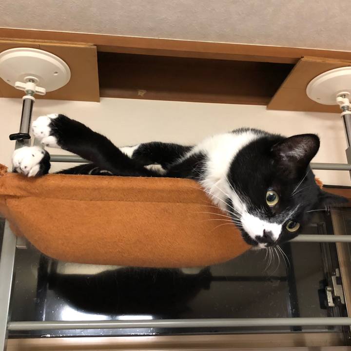 5bf17701 a6c9 4b0c 8975 67393a4978e3 1580701624602