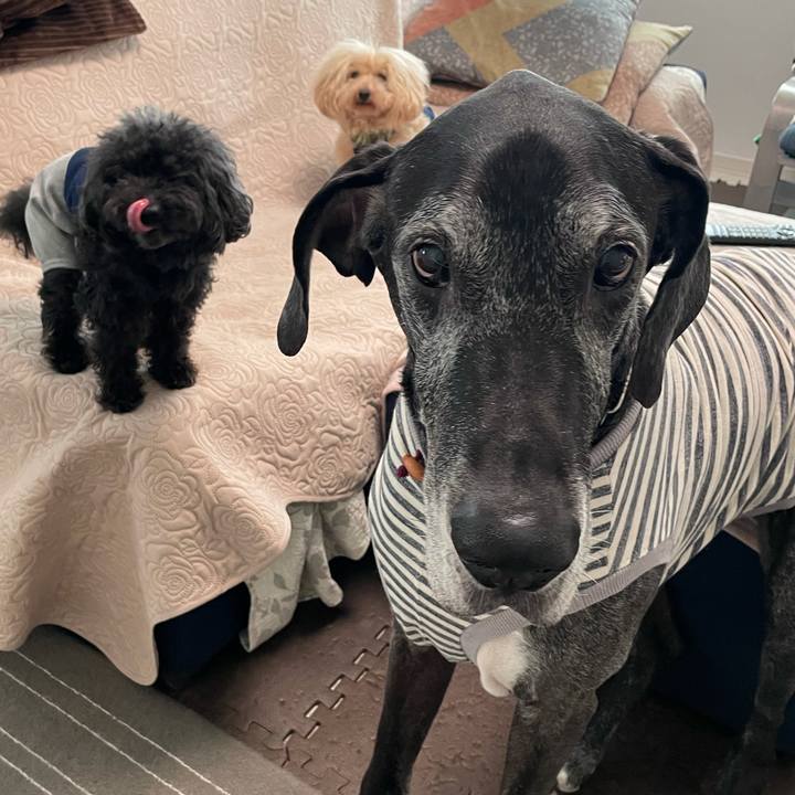 5bf17c9d 17a8 44da b039 b5b7074497f2 1619736800397