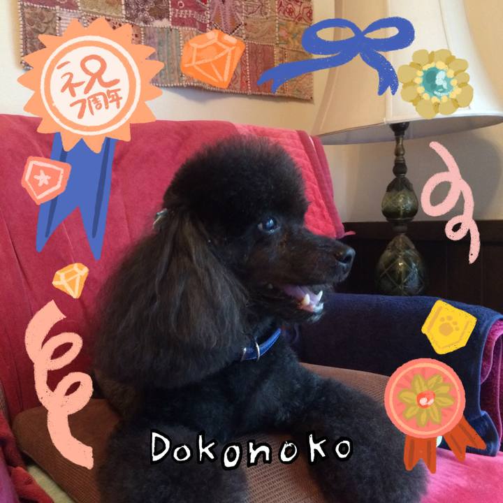 5bf186e6 c274 4f77 89f5 ca3828144bad 1685979284592