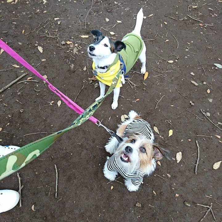 5bf19024 3bf0 4e99 8e2f 2853e235d4b2 1509177923135