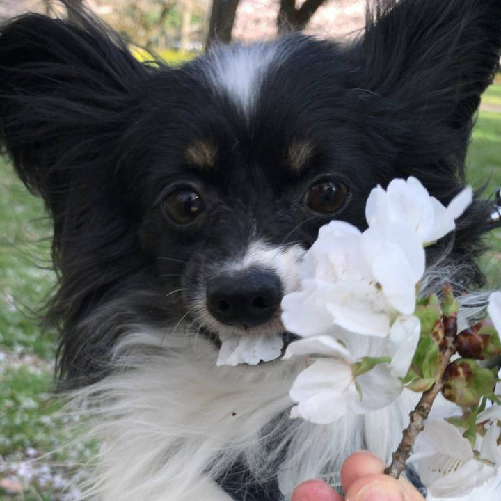 5bf1f07d c1c8 43c7 80cf dc7bb5e768fc 1522365996631