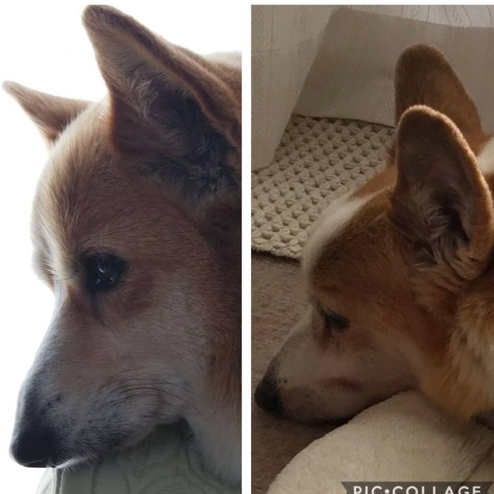 5bf20bb5 0d23 4ae1 a1e1 afbb7a5340bf 1573970061420