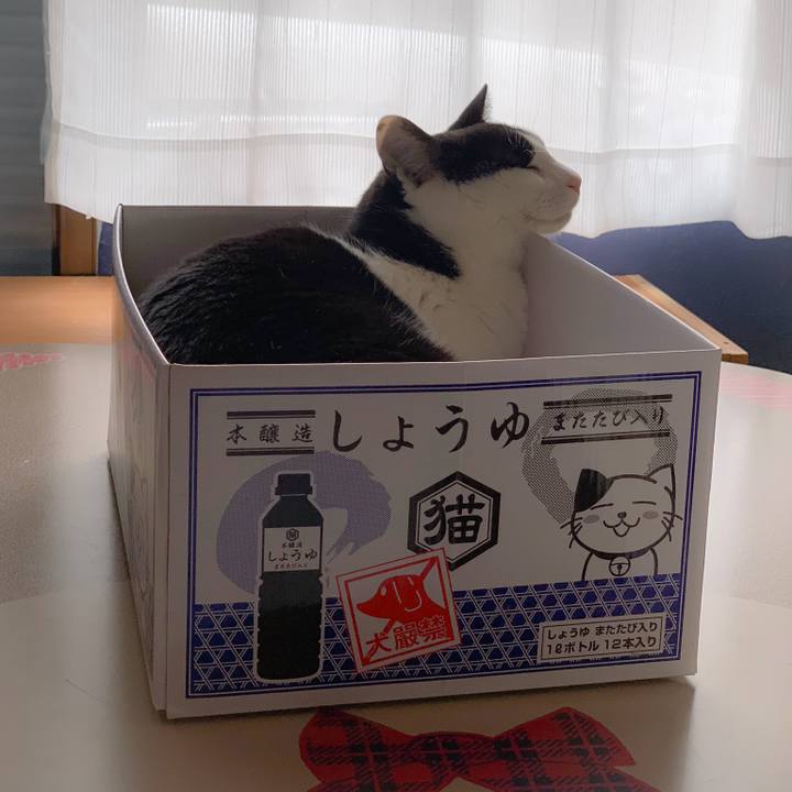 5bf228bf 5950 4d1e 8943 af7a280e1008 1558834687606