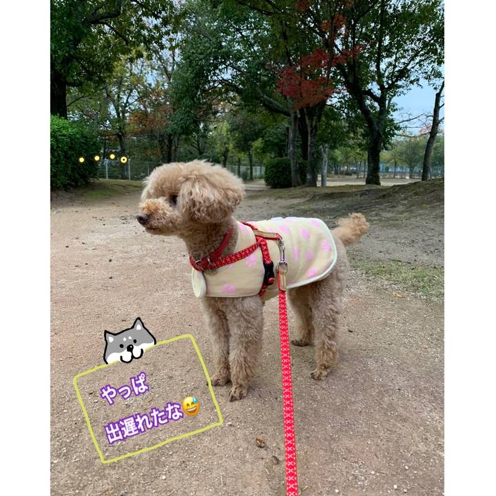 5bf22f92 0eab 4bff 9a34 6a9a536c409a 1542357162468