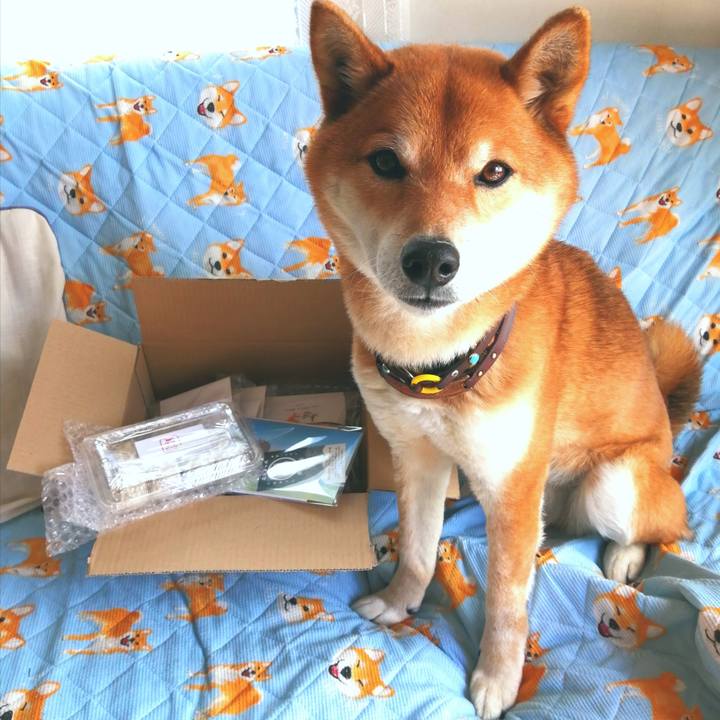 5bf287dd 1c14 4fff 992f 6e1c1a271e5b 1616461934579