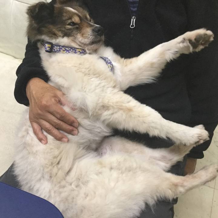 5bf2b668 eb67 4b30 b383 19b96e68727a 1610710891711