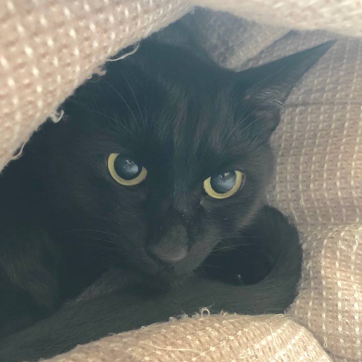 5bf2bba9 57fa 498d 9b2d 2326d4d920a0 1546227280667