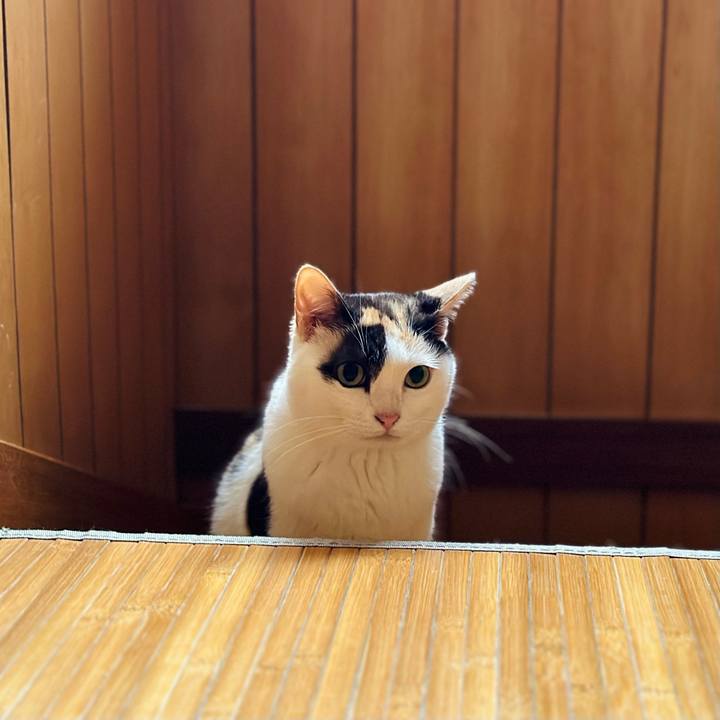 5bf2c224 0865 4433 80b0 0da21605ea5b 1685238106842