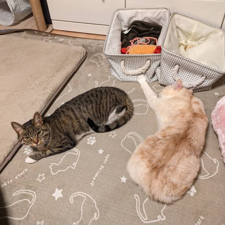 5bf2d2fd 7825 4410 9ccd 37da293d6c66 1708788622145