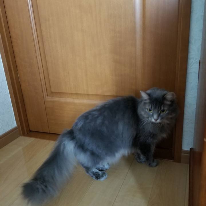 5bf2ed7a 1357 4fc4 96c5 928114bc9f2e 1537925263981