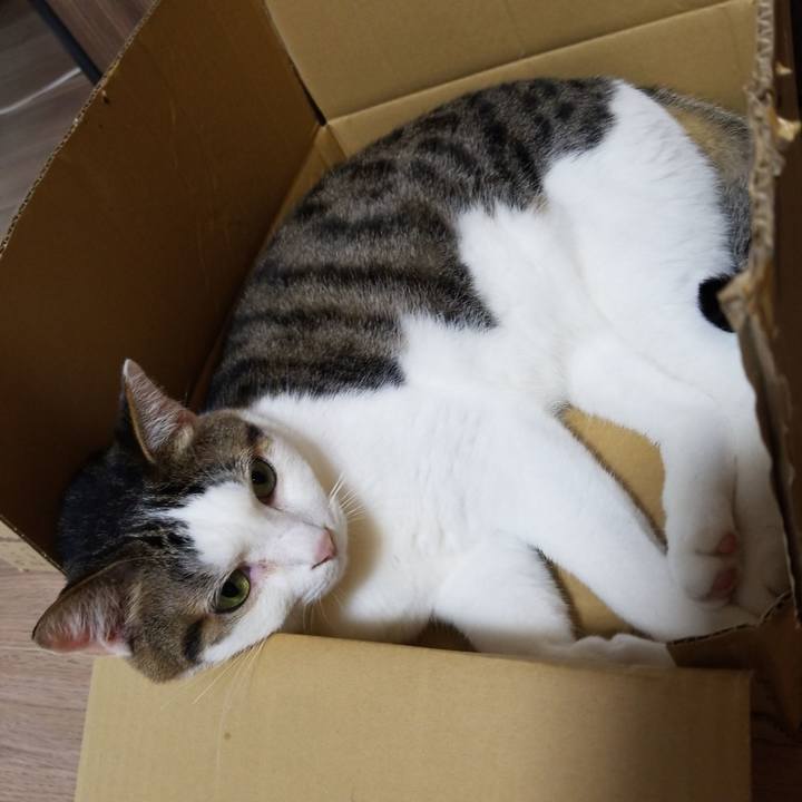 5bf2f6ff fa55 4d84 91e8 c094efd172c6 1589232150156