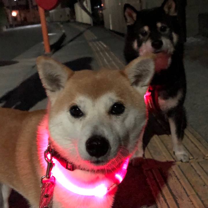 5bf335f7 8a30 4fcc b95a c681ac326f87 1542705528719