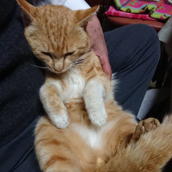 5bf39c06 2f7b 4354 add0 4e30fec5a0b1 1554454446656