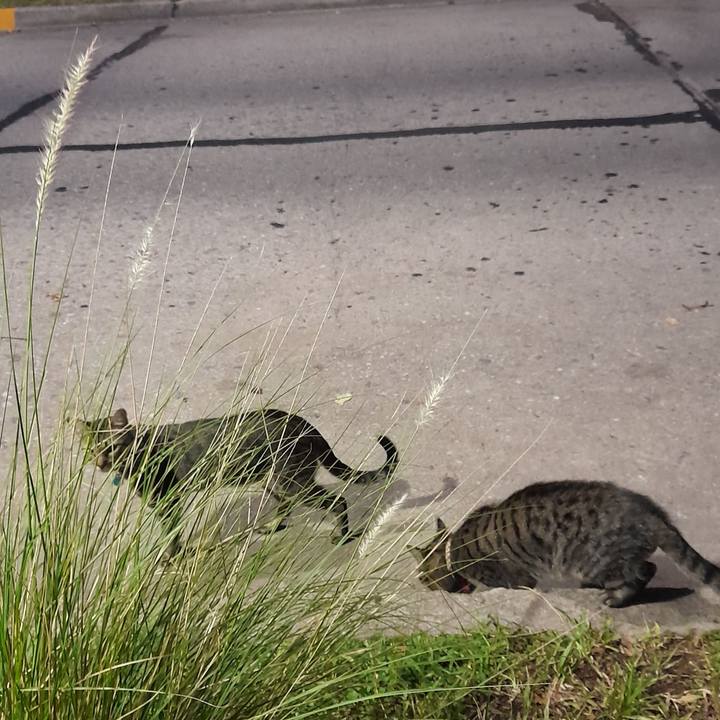 5bf3b6e1 137c 48fd 8090 63a342b9607f 1772012460144